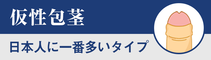 仮性包茎（日本人に一番多いタイプ）
